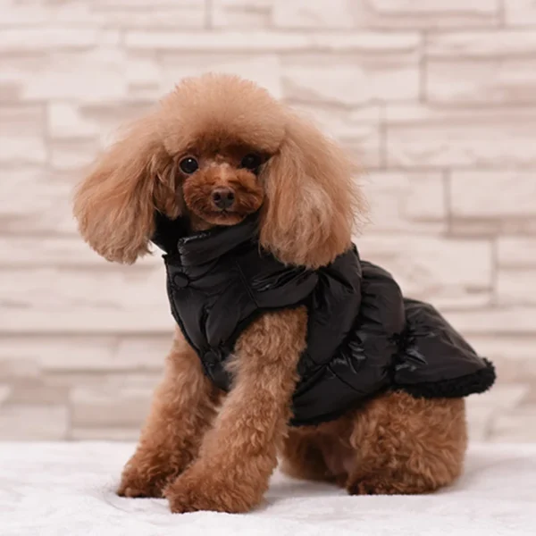 Chaqueta de plumón urbano - Imagen 4