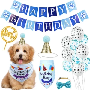 Party Deco Set