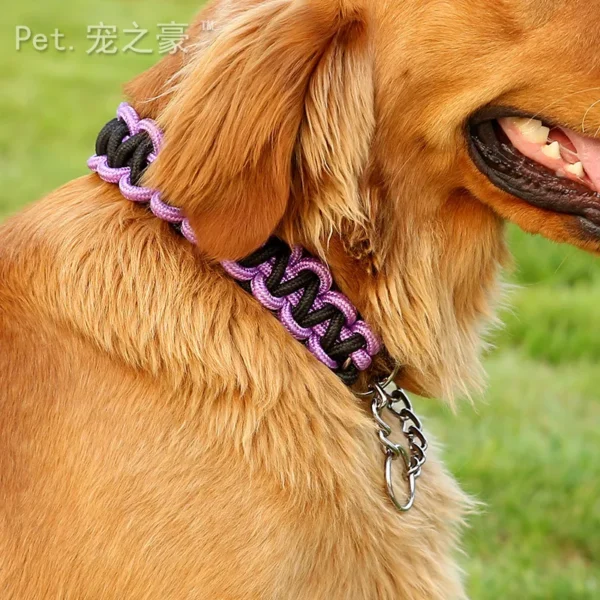 Collar alta calidad para perro grande - Imagen 2