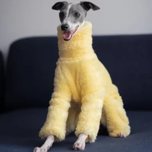 Abrigo amarillo suave para perro, diseño de cuello alto, pijama cálido de invierno para perros pequeños y medianos, adecuado para galgo italiano Whippet Bellington