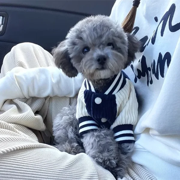 Chaqueta de Béisbol Bordada para Perros - Imagen 3