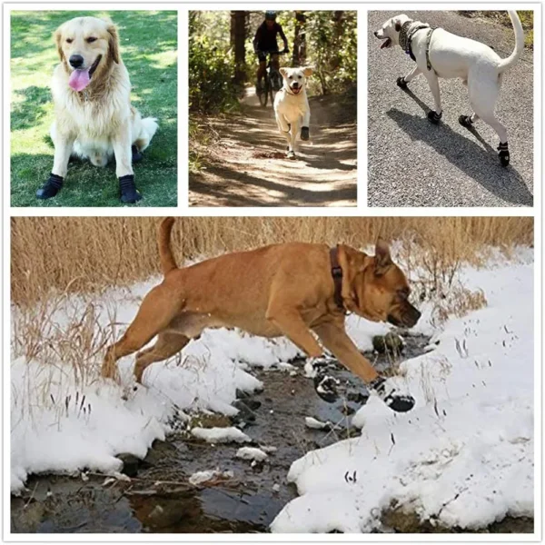 Zapatos impermeables para perros - Imagen 5