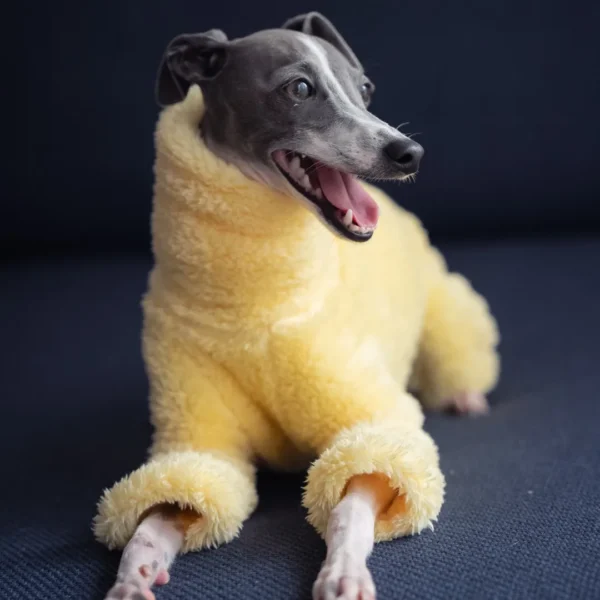 Abrigo amarillo con cuello alto - Imagen 4