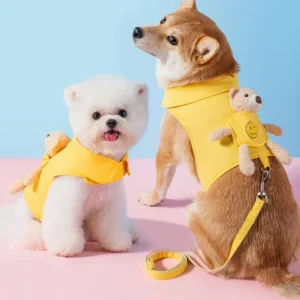 Chaleco bonito para cachorros, conjunto de arnés y correa para perros sólidos, ropa para mascotas con oso de bolsillo para Chihuahua Yorkie, entrenamiento para caminar, cadena para perros y gatos