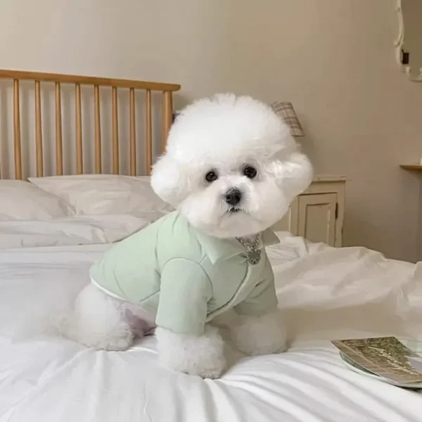 Chalequito Inflado Cool Pup - Imagen 2