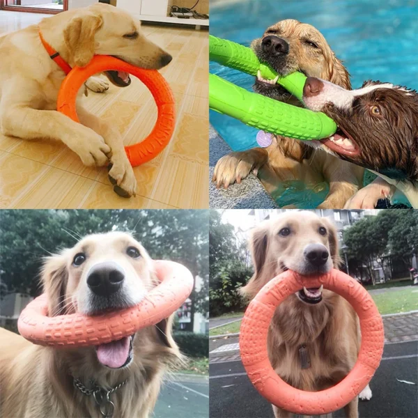 Juguete para perros tipo Anillo - Imagen 2