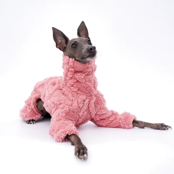 Suéter Sweet Granny con cuello alto - Blue&Rosé - Imagen 4