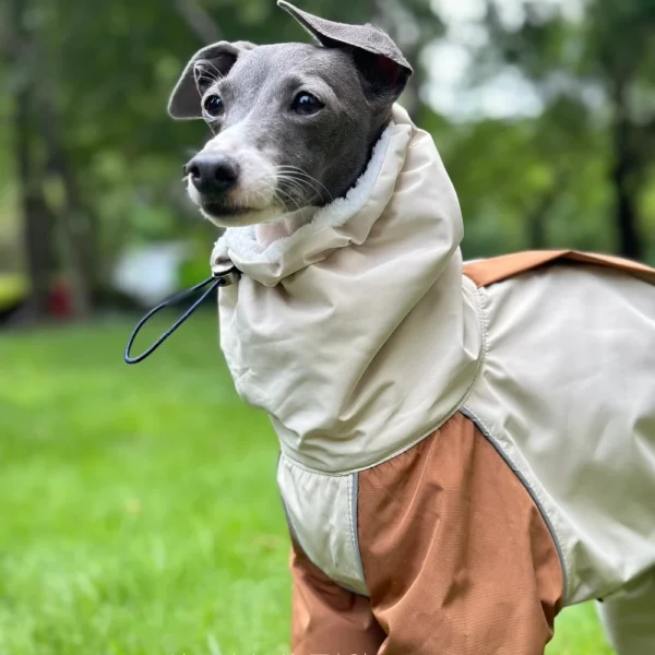 Abrigo caqui de felpa engrosada de 4 patas impermeable rompeviento - Imagen 4