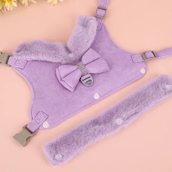 Fancy who? - Conjunto Arnés y Correa Invierno - Imagen 3