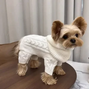 Can I order a Whisky?