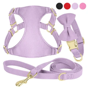 Cute Set - Arnés,Collar,Correa