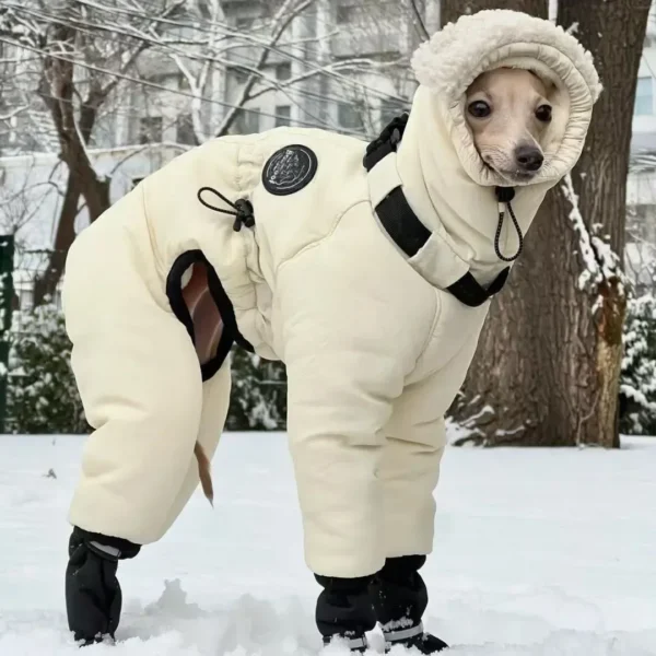 Chaqueta de invierno súper gruesa - Imagen 2