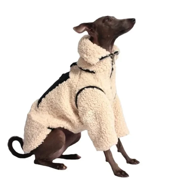 Campera lana con cuello Woody