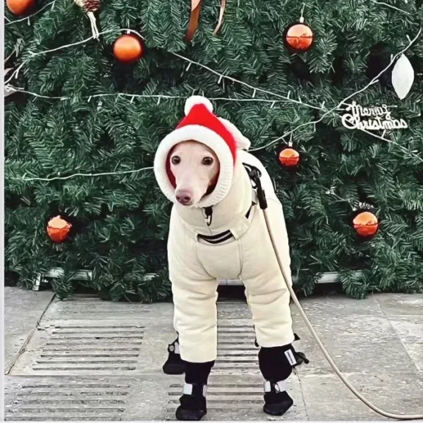 Chaqueta de invierno súper gruesa - Imagen 3