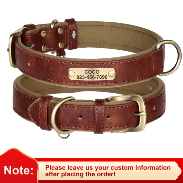 Correa de Collar de perro personalizada - Imagen 4