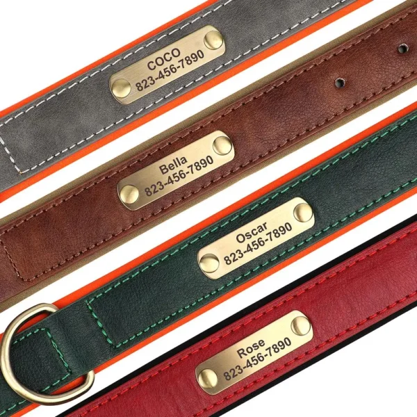 Correa de Collar de perro personalizada - Imagen 5