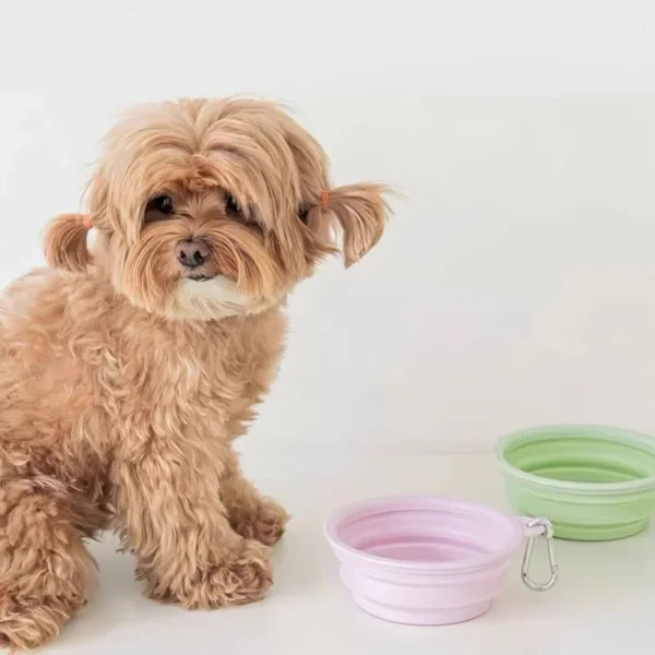 Cuenco plegable de silicona con Dibujo para Mascotas 350ml-650ml - Imagen 2