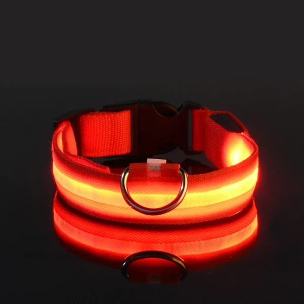 Collar para perro de nailon LED - Imagen 4