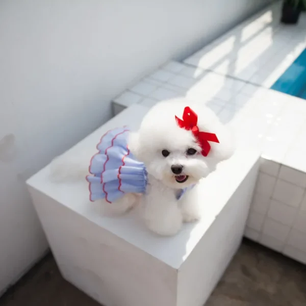 Vestido de verano - Imagen 3