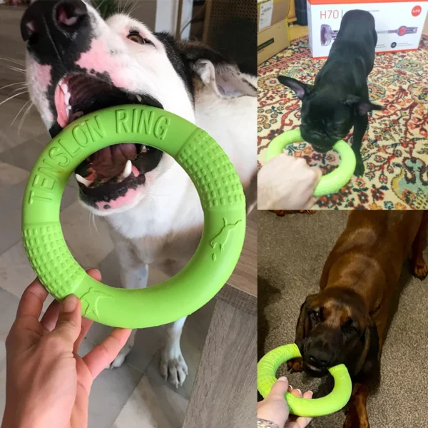 Juguete para perros tipo Anillo - Imagen 4
