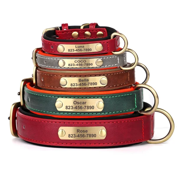 Correa de Collar de perro personalizada - Imagen 3
