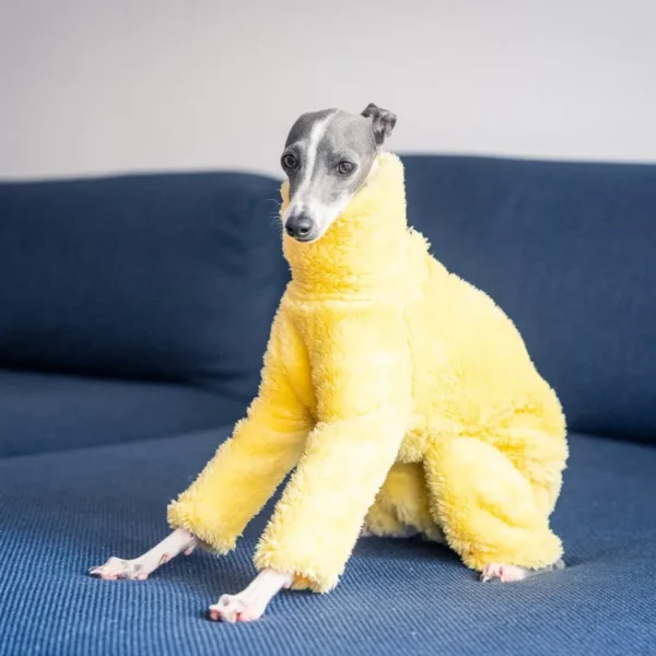 Abrigo amarillo con cuello alto - Imagen 2
