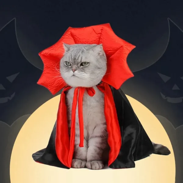 Dracu-cat - Imagen 2