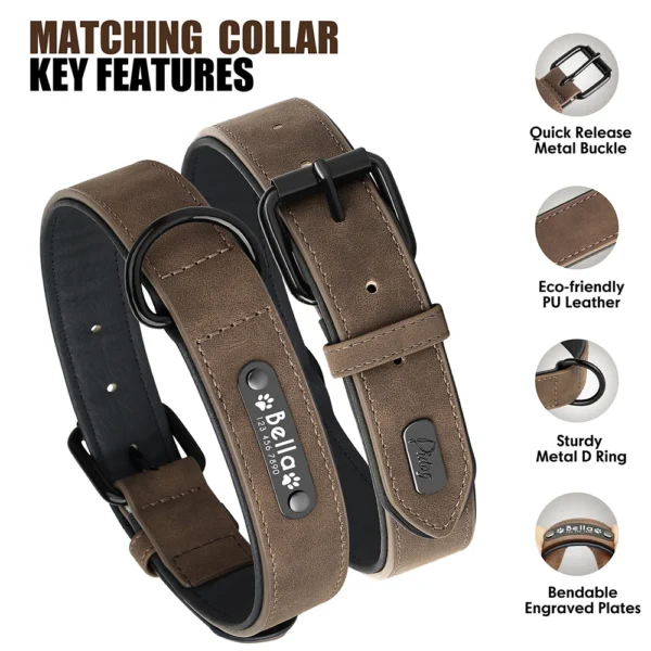 Juego de correa de Collar de perro personalizado - Imagen 2