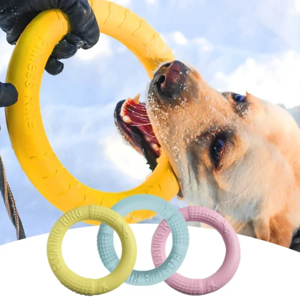 Juguete para perros tipo Anillo