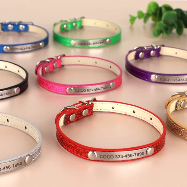 Collar de identificación - Imagen 2