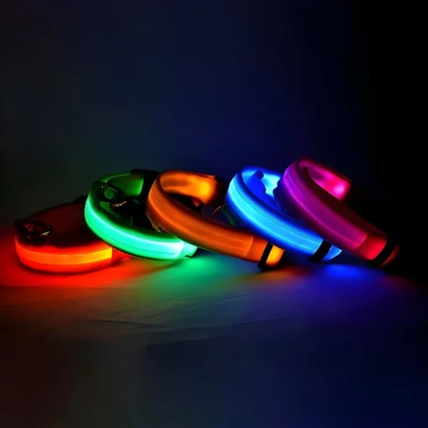 Collar para perro de nailon LED - Imagen 6