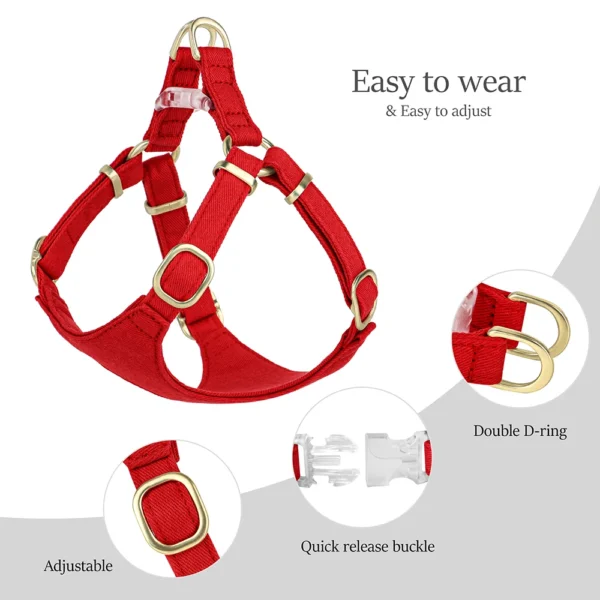 Cute Set - Arnés,Collar,Correa - Imagen 4