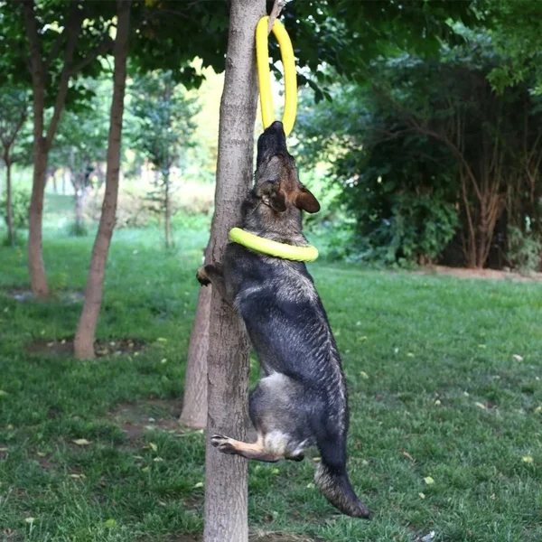 Juguete para perros tipo Anillo - Imagen 5