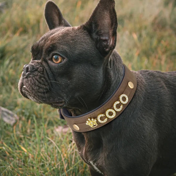 Collar de cuero personalizado - Imagen 5
