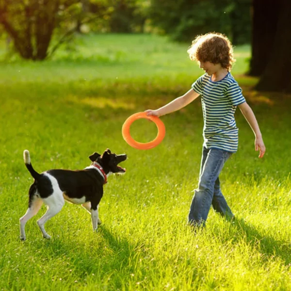 Juguete para perros tipo Anillo - Imagen 6