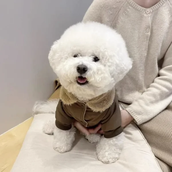 Campera tipo motoquero con osito cute - Imagen 4