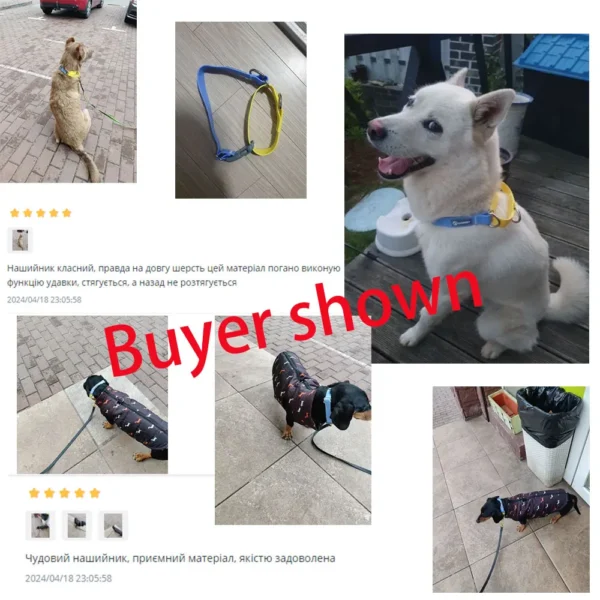 Collar de perro impermeable de PVC - Imagen 5