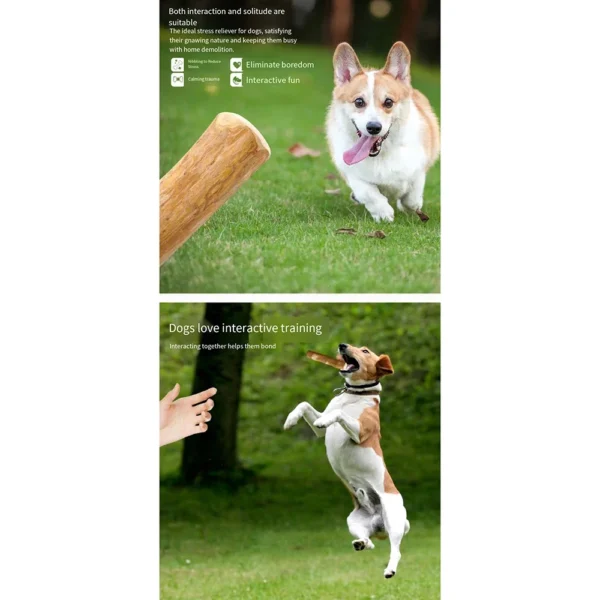 Juguete masticable de madera para perros, para aliviar la presión dental. - Imagen 3