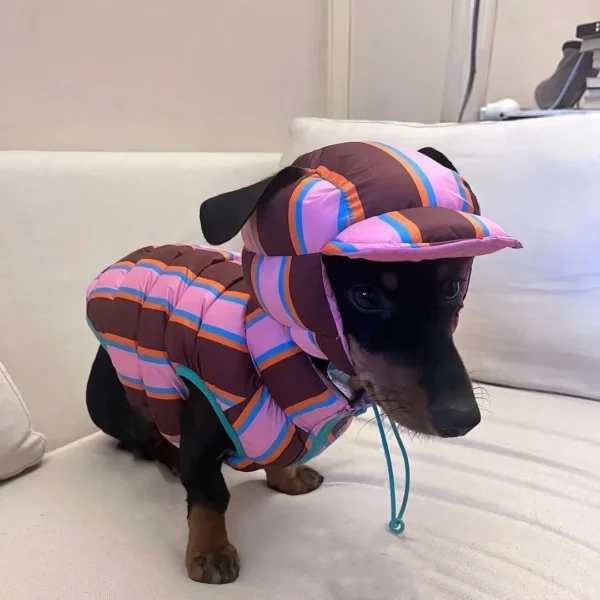 Campera Inflada con gorra a juego para Perros - Imagen 2