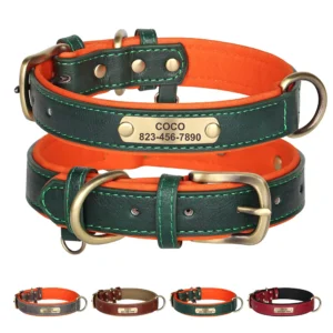 Correa de Collar de perro personalizada