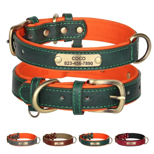 Correa de Collar de perro personalizada