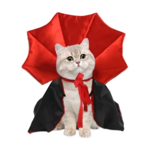 Dracu-cat