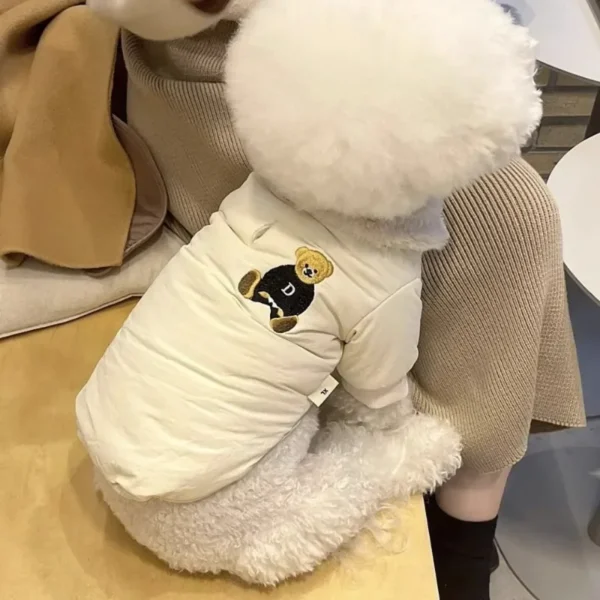 Campera tipo motoquero con osito cute - Imagen 3