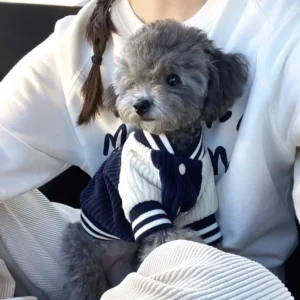 Chaqueta de Béisbol Bordada para Perros