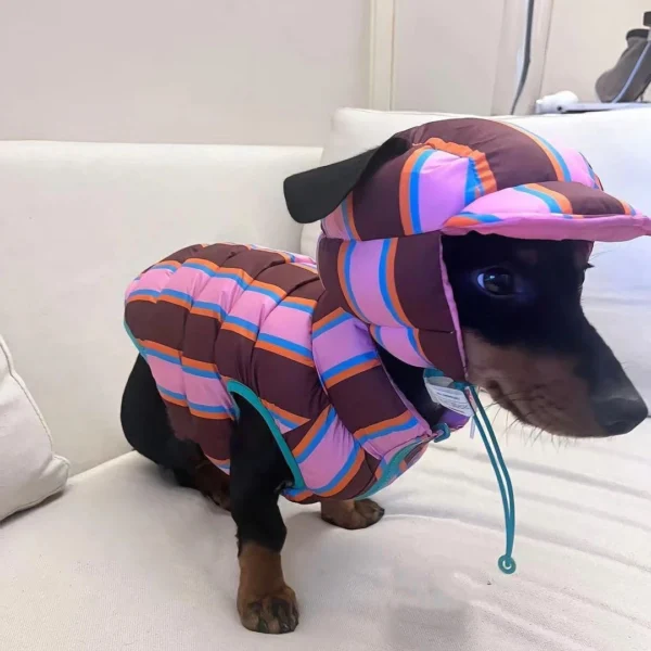 Campera Inflada con gorra a juego para Perros - Imagen 4