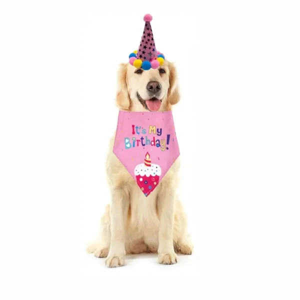 Sombreros de Cumpleaños - Imagen 2