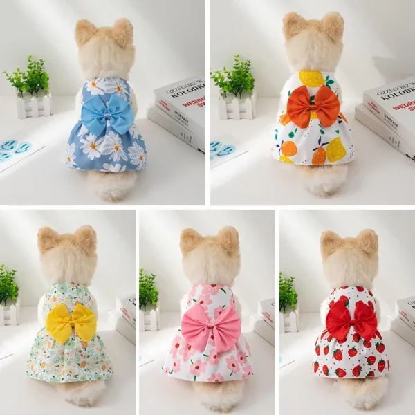 Summer Dresses - Imagen 6