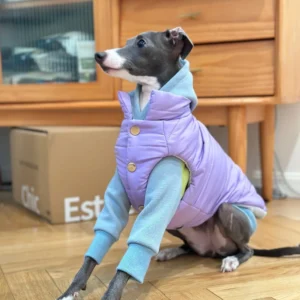 Chaqueta de algodón con botones para perros, chaleco grueso y cálido, a la moda, a prueba de viento, color blanco y azul, para invierno