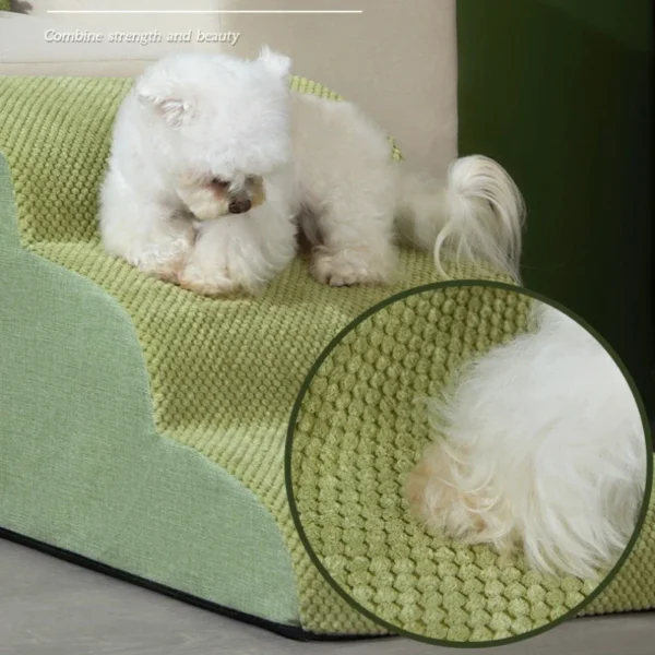 Rampa Estética para Mascotas - Imagen 3