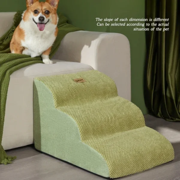 Rampa Estética para Mascotas - Imagen 5